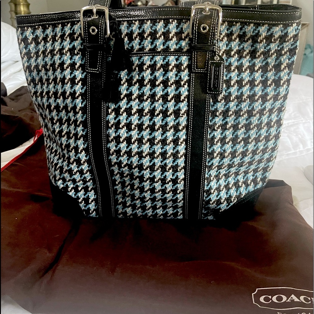 Coach suède winter bag